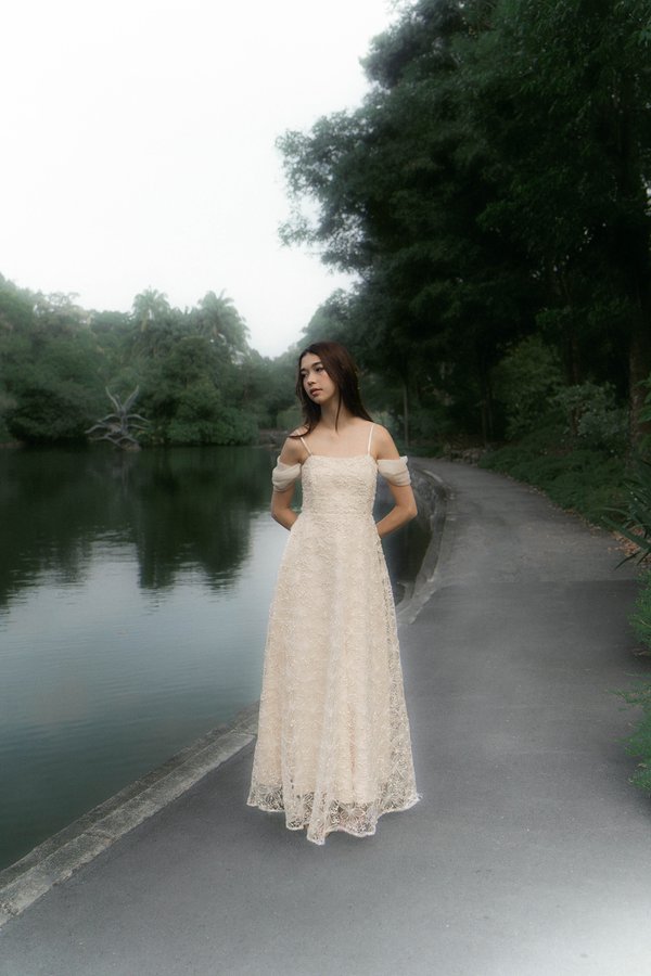 Daylight Sequin Embellished Gown (Champagne)